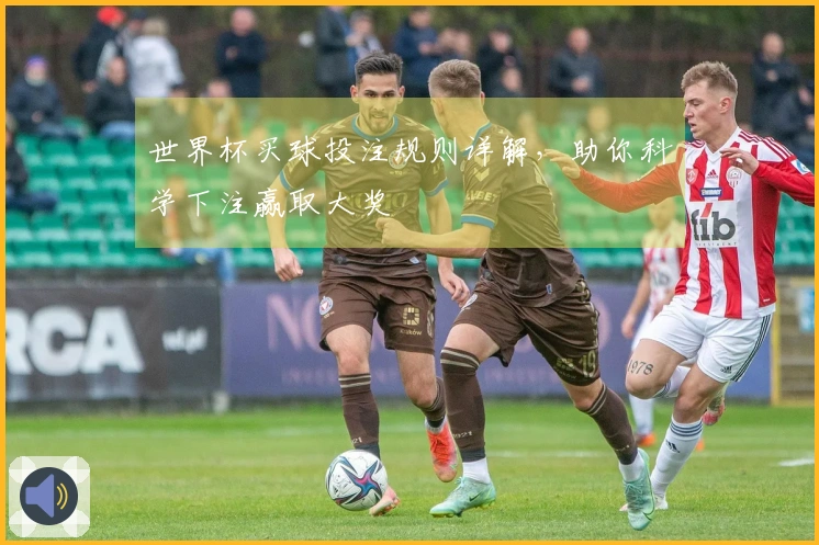 世界杯买球投注规则详解，助你科学下注赢取大奖
