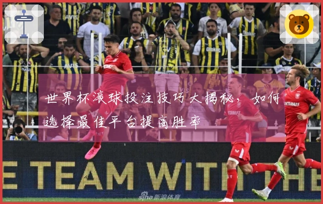 世界杯滚球投注技巧大揭秘，如何选择最佳平台提高胜率