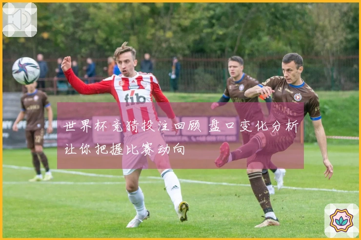 世界杯竞猜投注回顾 盘口变化分析让你把握比赛动向
