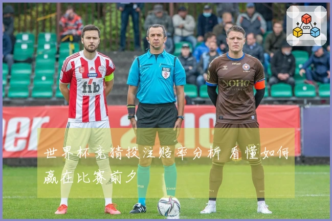 世界杯竞猜投注赔率分析 看懂如何赢在比赛前夕