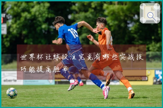 世界杯让球投注究竟有哪些实战技巧能提高胜率